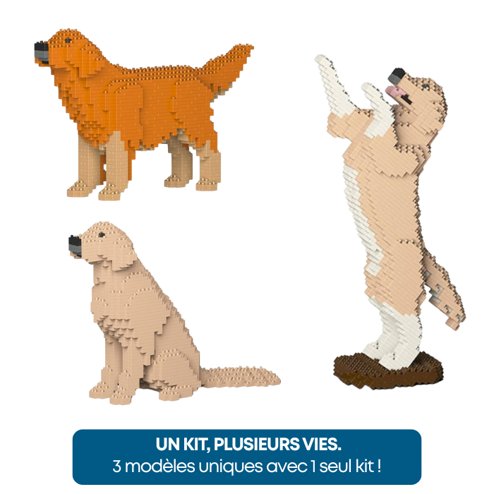 Golden Retriever - Kit de Briques à Construire | Brique Mon Pote