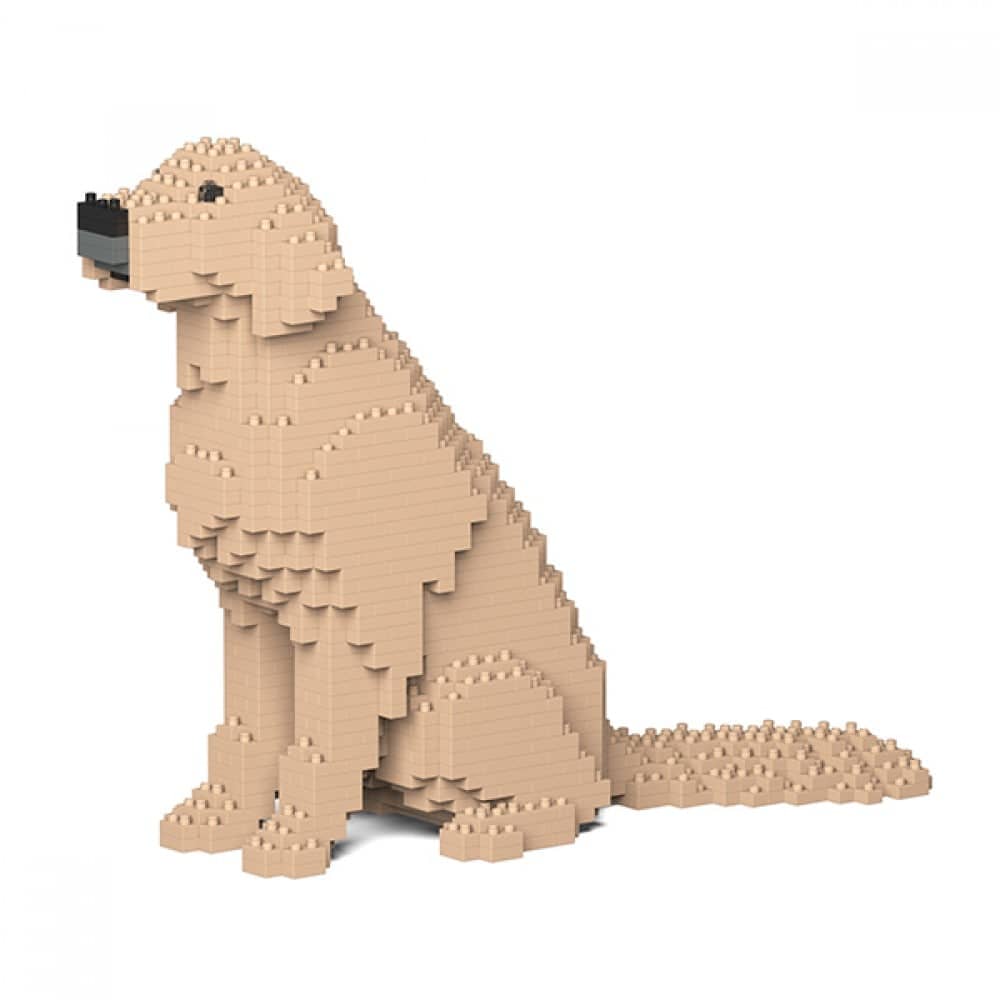 Golden Retriever - Kit de Briques à Construire | Brique Mon Pote