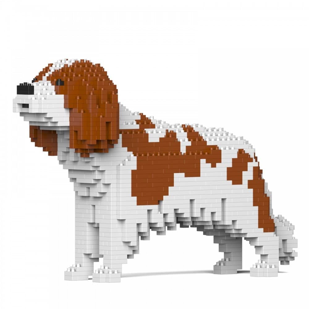 Cavalier King Charles - Kit de Briques à Construire | Brique Mon Pote