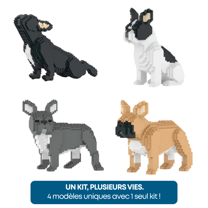 Bouledogue Français - Kit de Briques à Construire | Brique Mon Pote