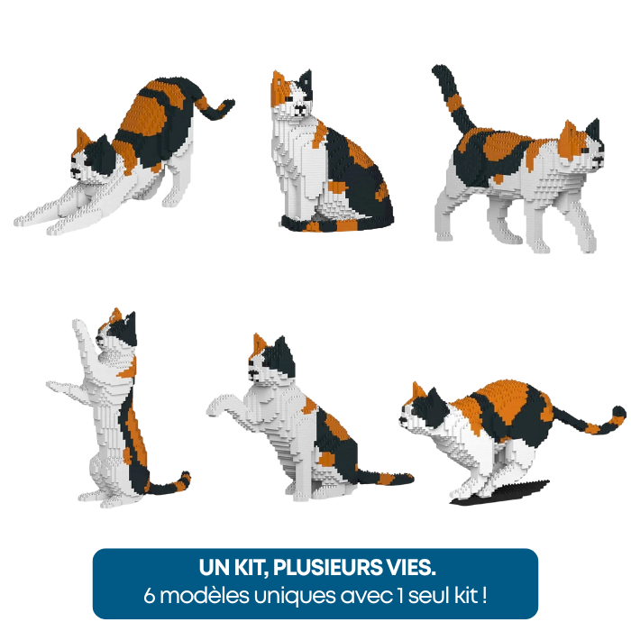 Chat Calico (Tricolore) - Kit de Briques à Construire | Brique Mon Pote